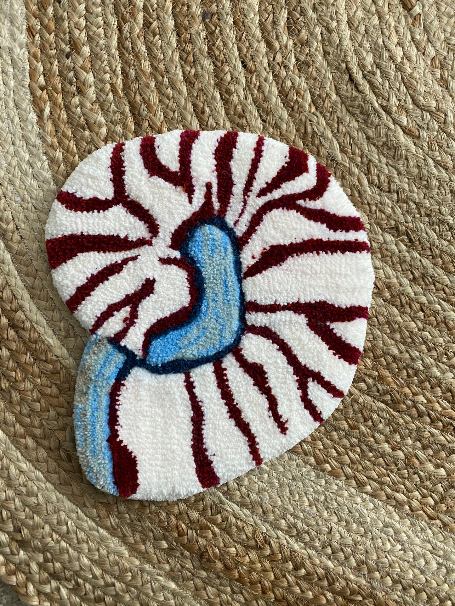 Nautilus Shell Mini