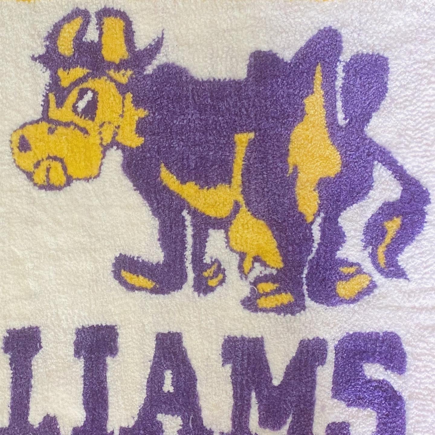 Collegiate Rug