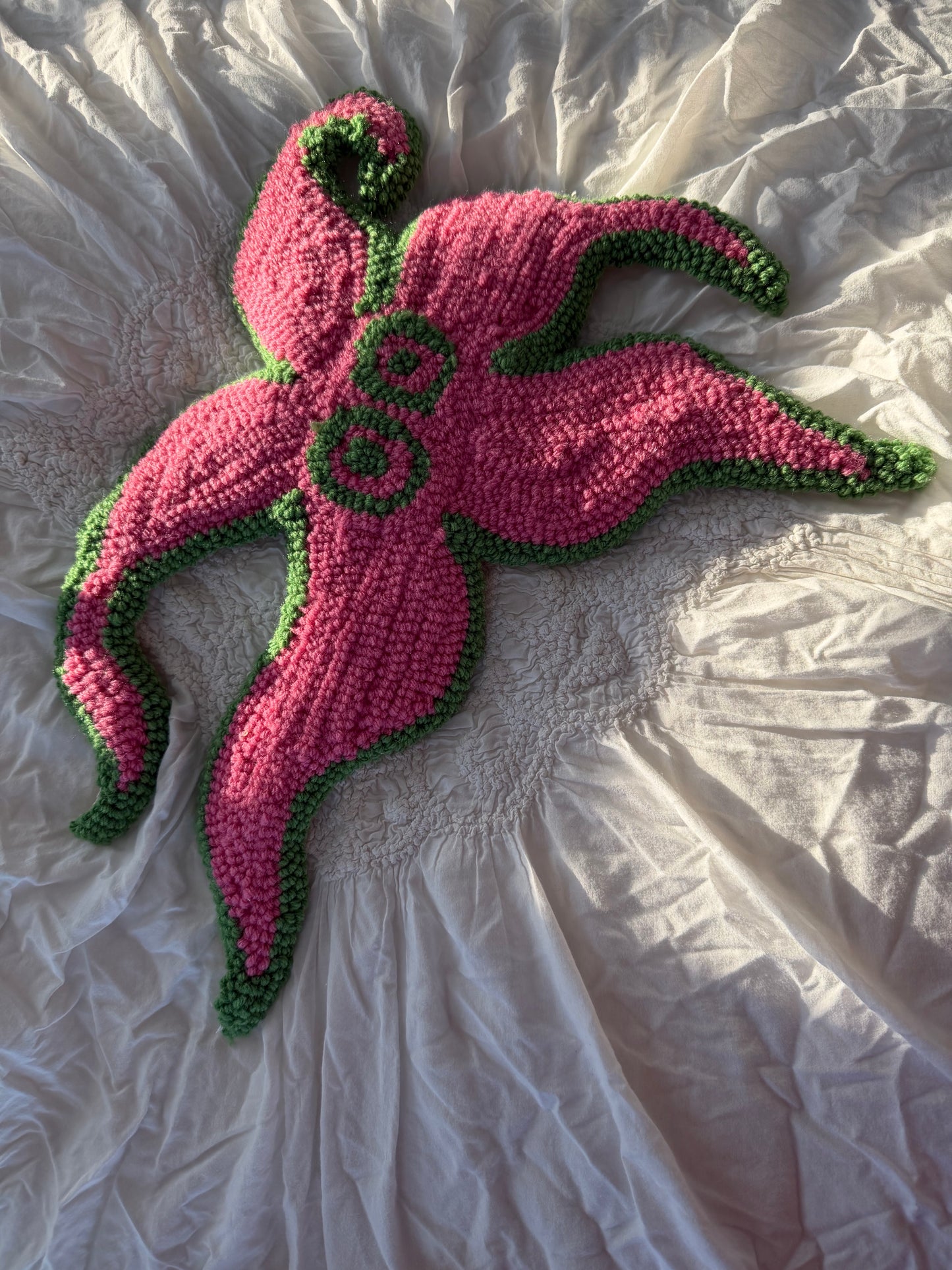 Sea Star Mini Collection